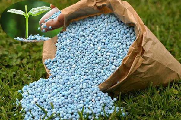 Phosphoric Acid Uses in Fertilizer