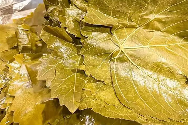 brined grape leaves
