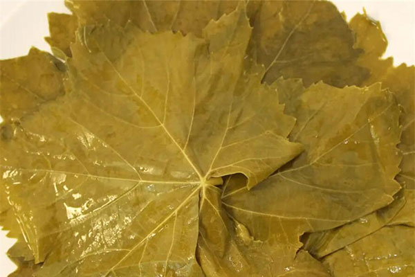 grape leaves for sale