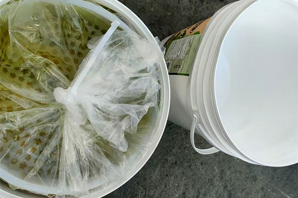pickled grape leaves for sale