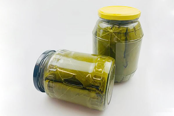 stuffed grape leaves